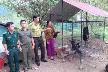 Hạt Kiểm lâm VQG Phong Nha – Kẻ Bàng vận động người dân giao nộp cá thể Khỉ vàng